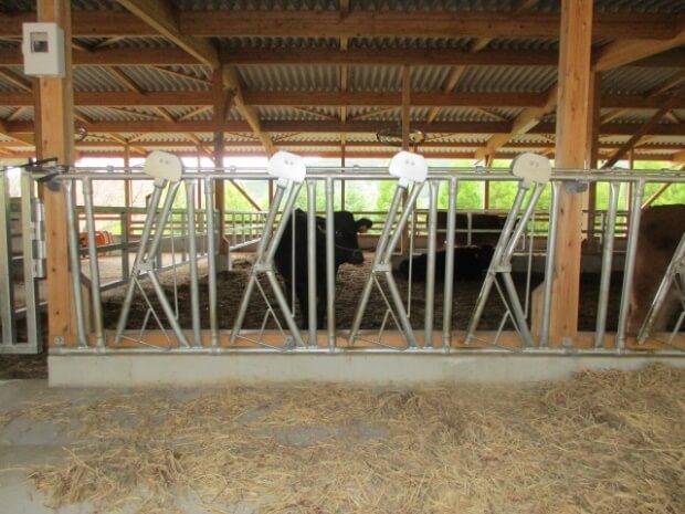 連動スタンチョン