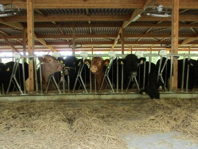 連動スタンチョン