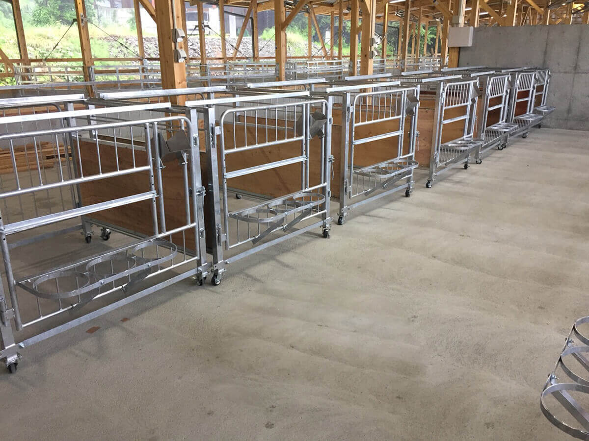 マミーパドック